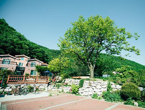 Utopia Pension คยองจู ภายนอก รูปภาพ